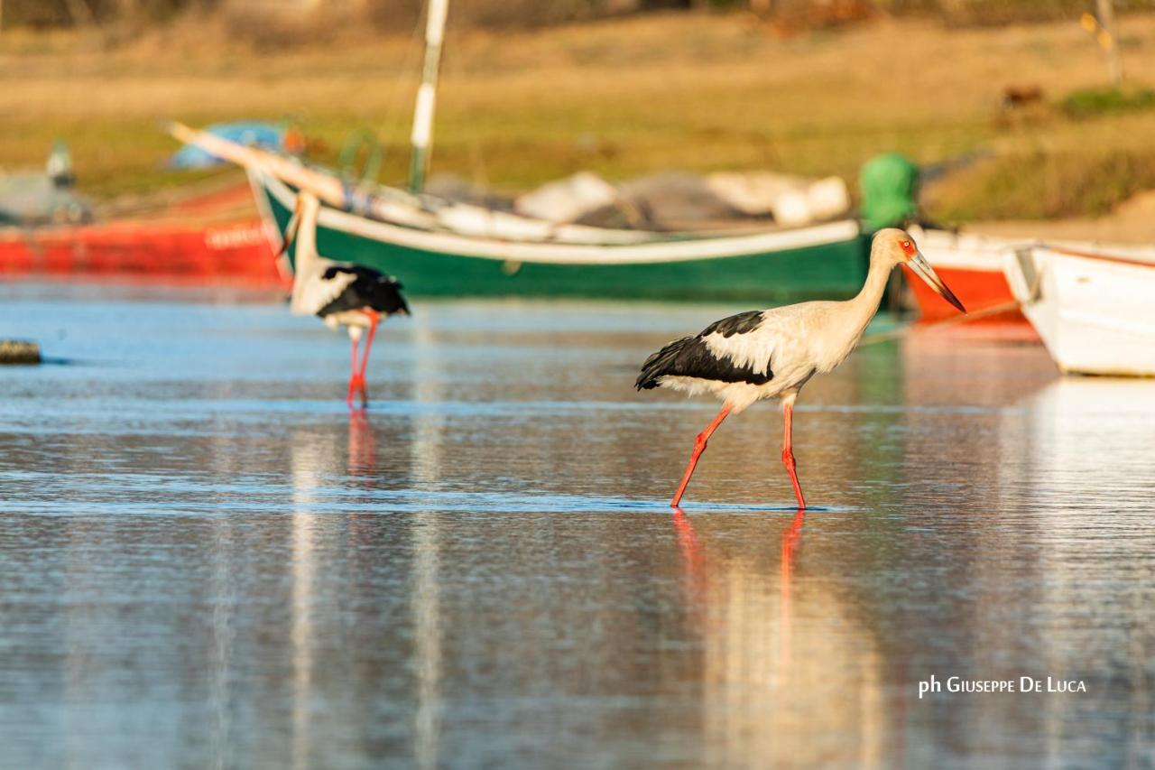 La Balsa Villa José Ignacio Dış mekan fotoğraf