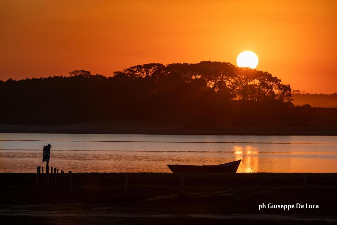 La Balsa Villa José Ignacio Dış mekan fotoğraf